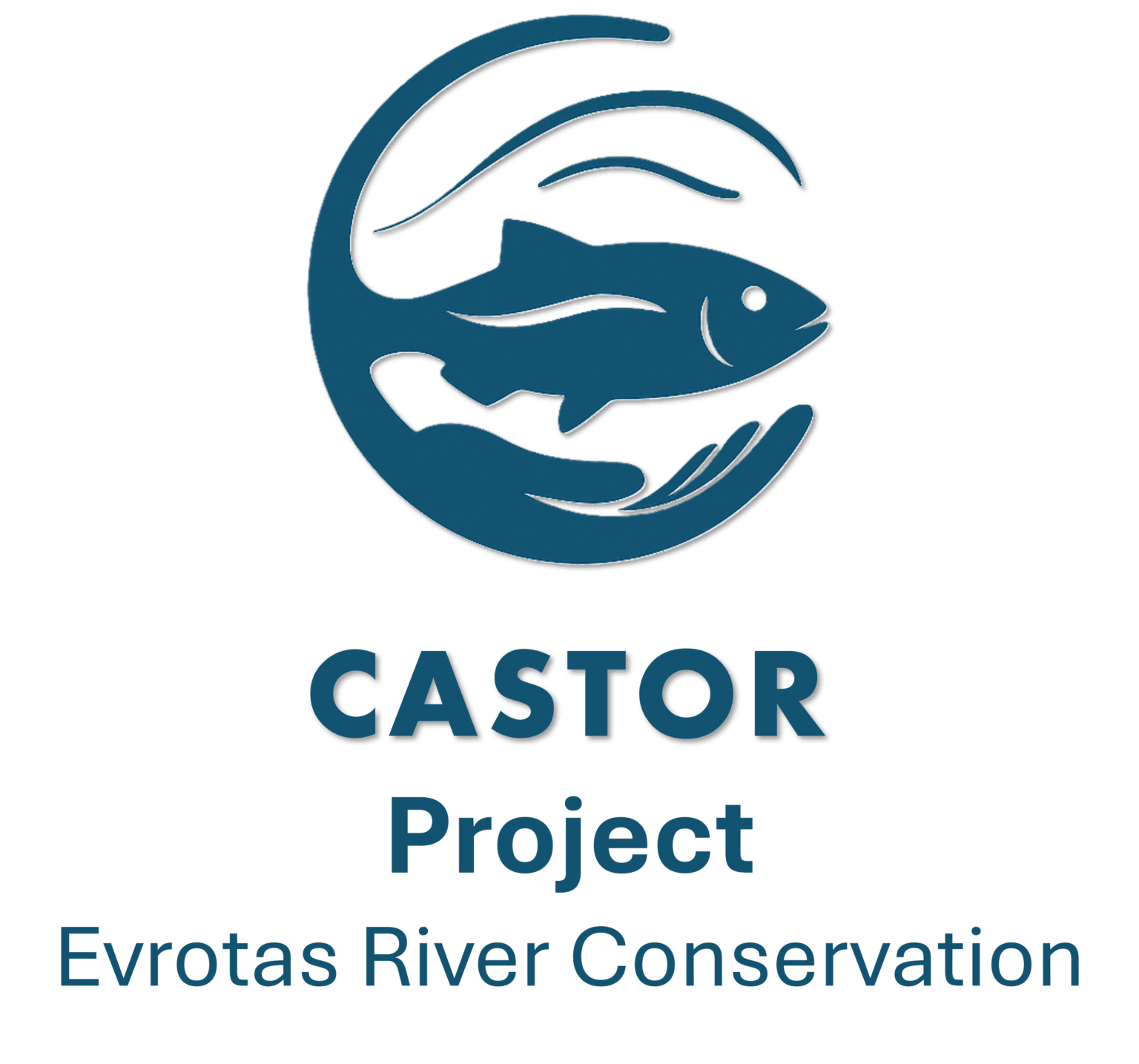 Castor Project